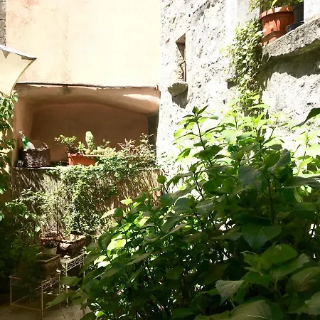 Ortensie Vakantiehuis *
