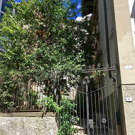 Ortensie * Bagnone
